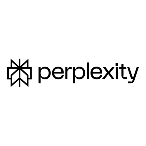 Perplexity